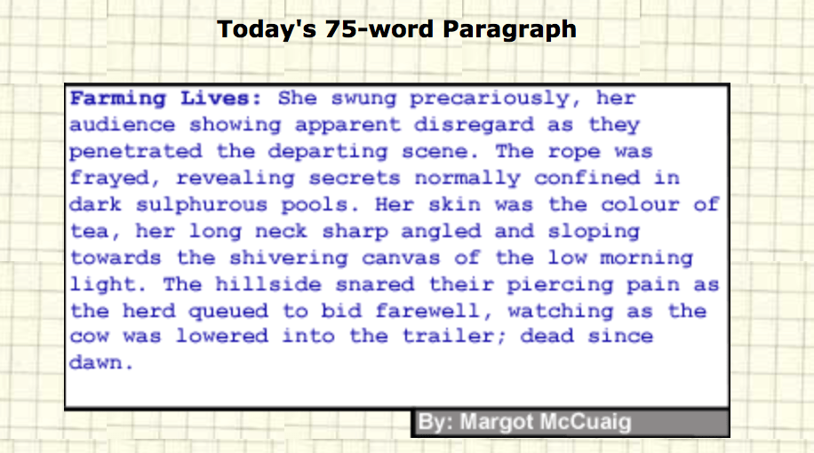 Screen Shot 2017-11-10 at 12.16.56